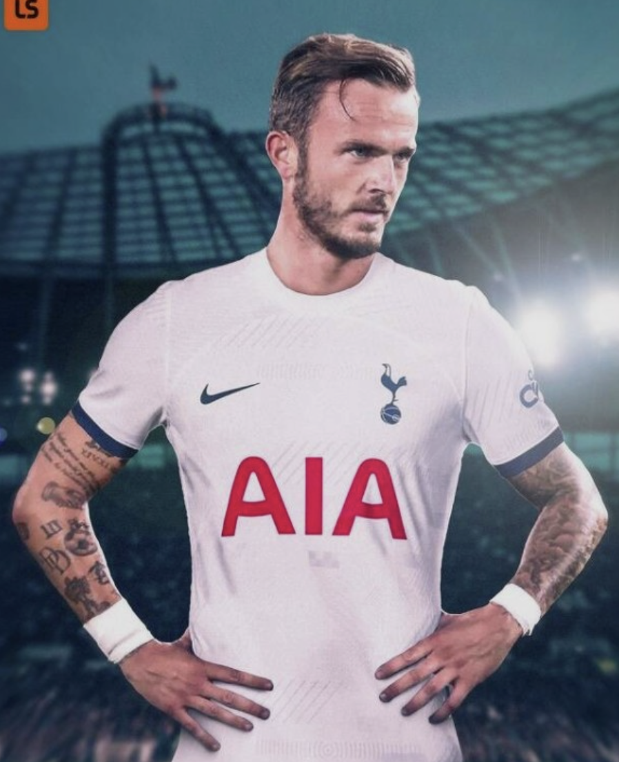 메디슨 히샬리숑