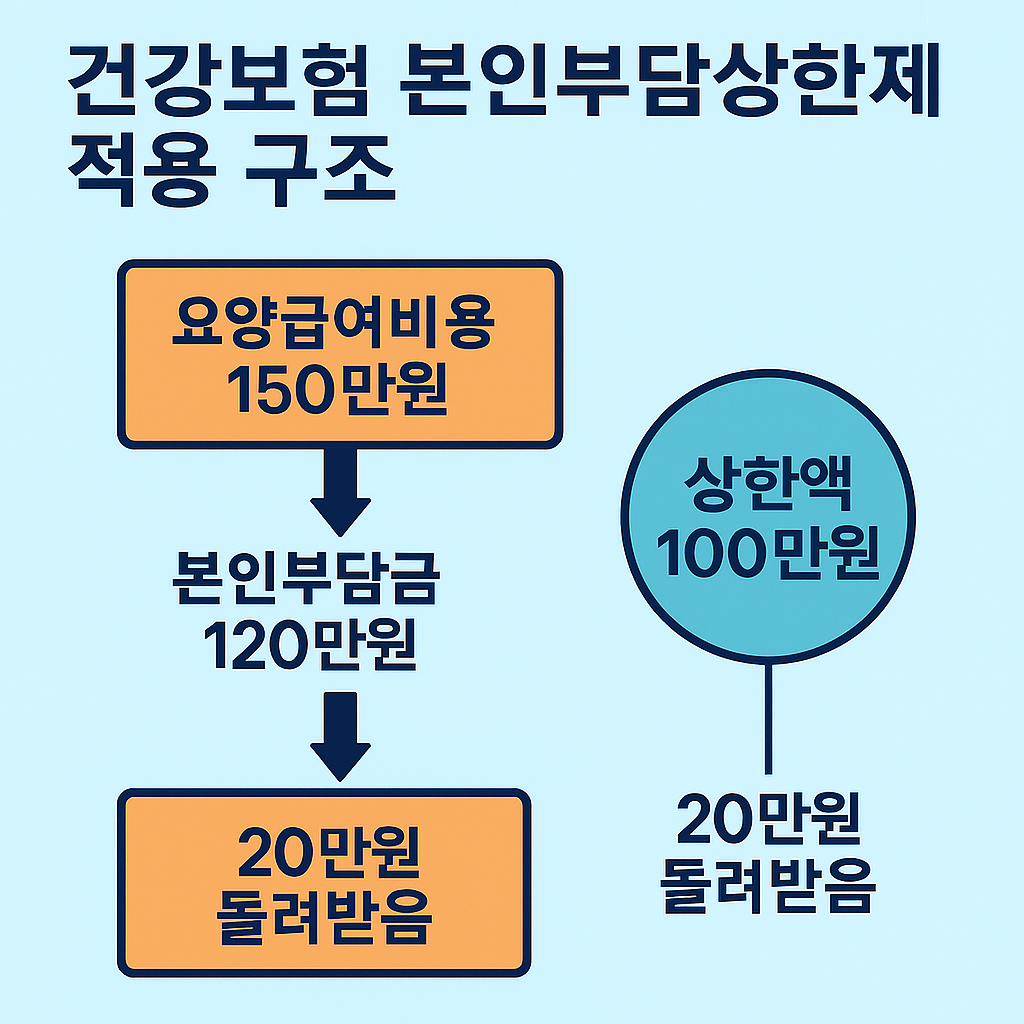 본인부담상한제 적용 구조
