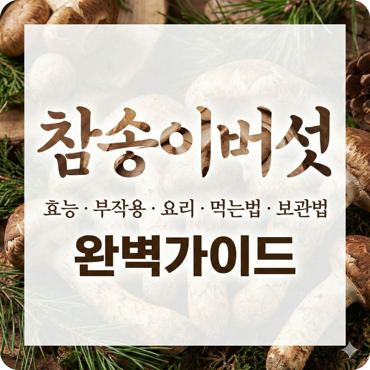 참송이버섯 효능