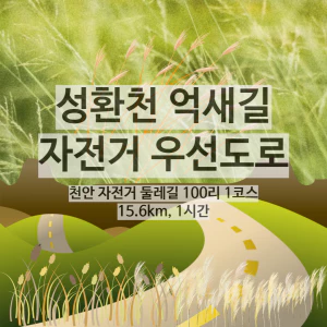 성환천억새길