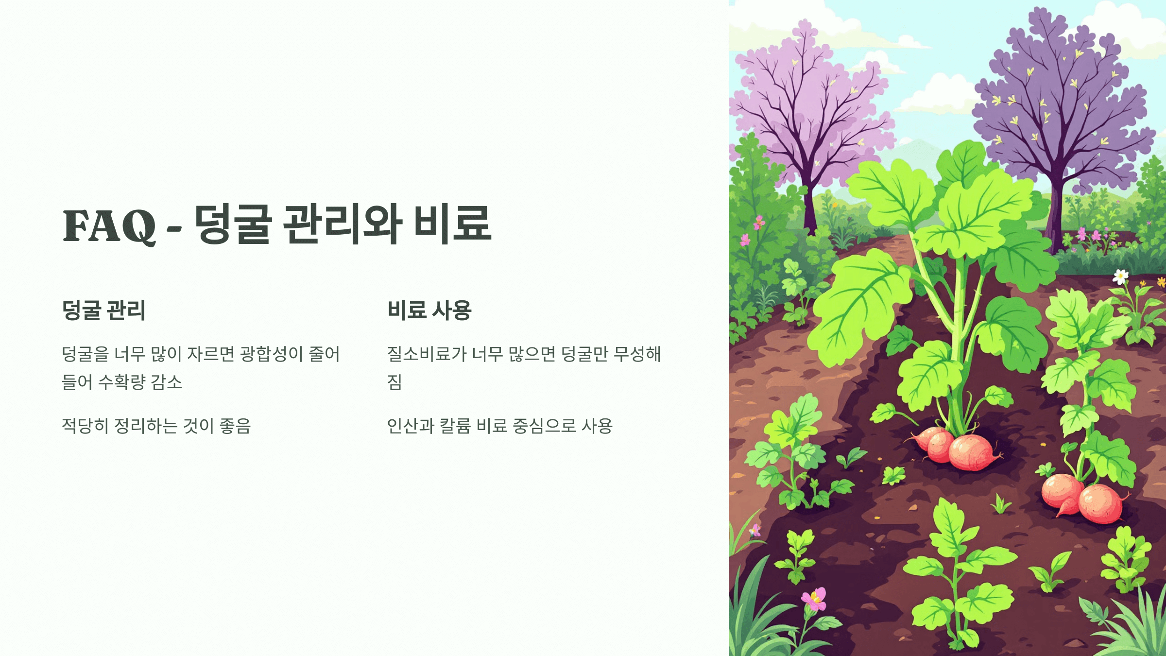 고구마 사진입니다.