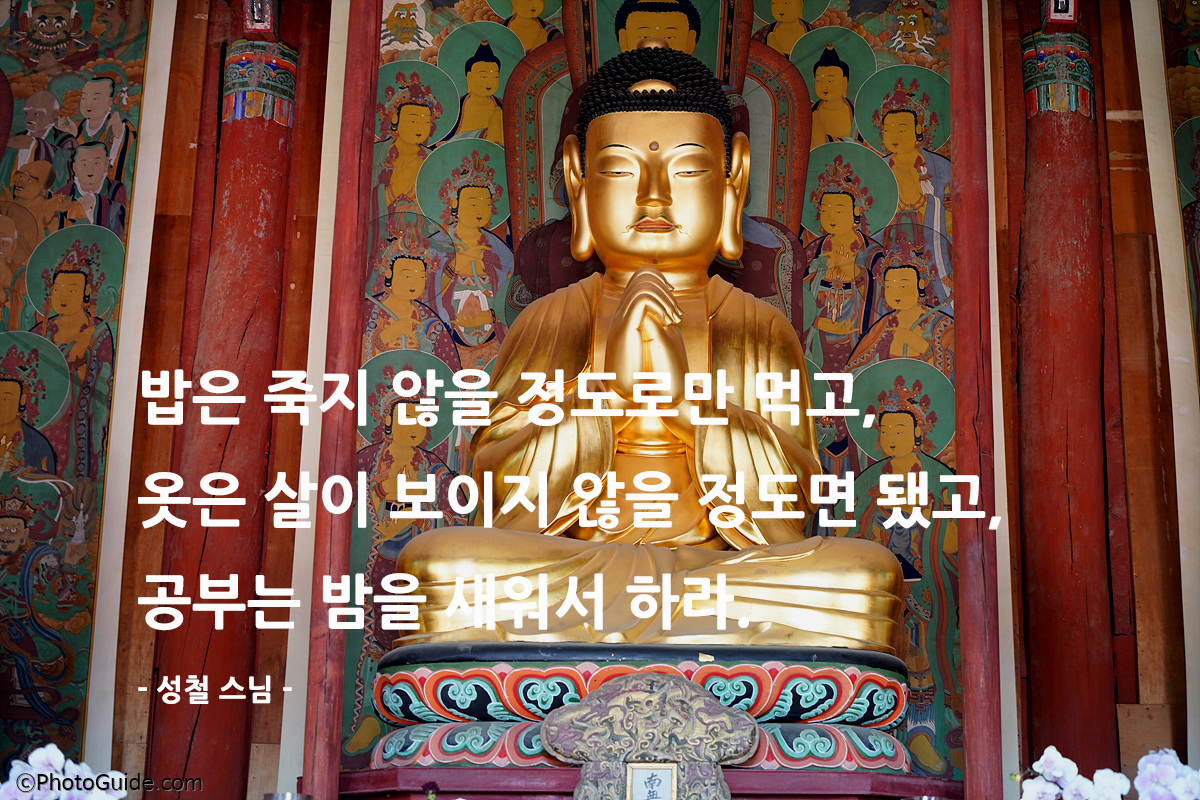 성철스님-명언-부처상