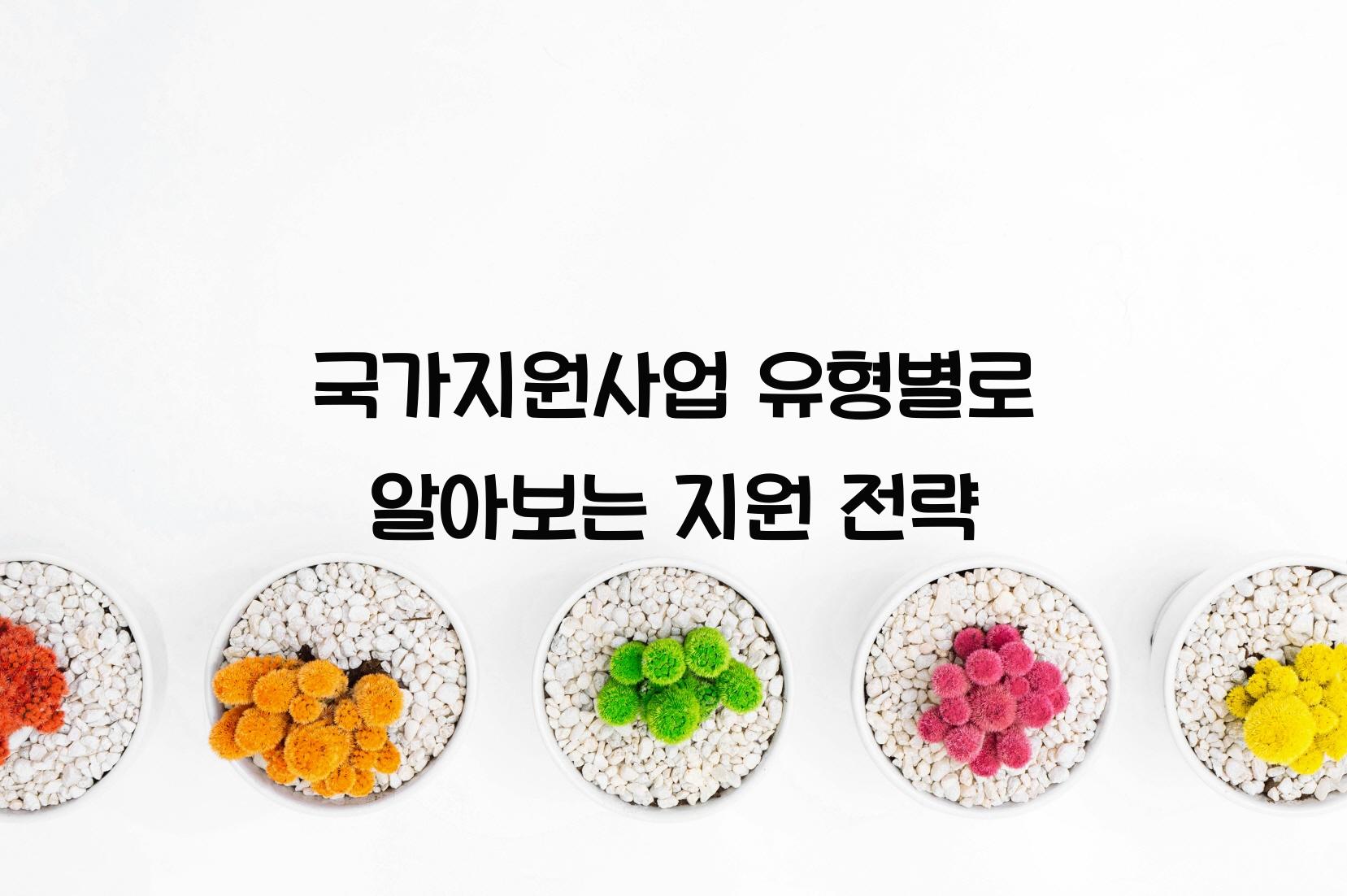 국가지원사업