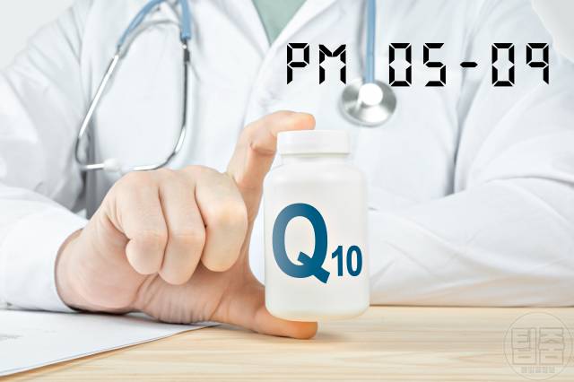 코엔자임q10 많은 음식 복용시간 흡수율