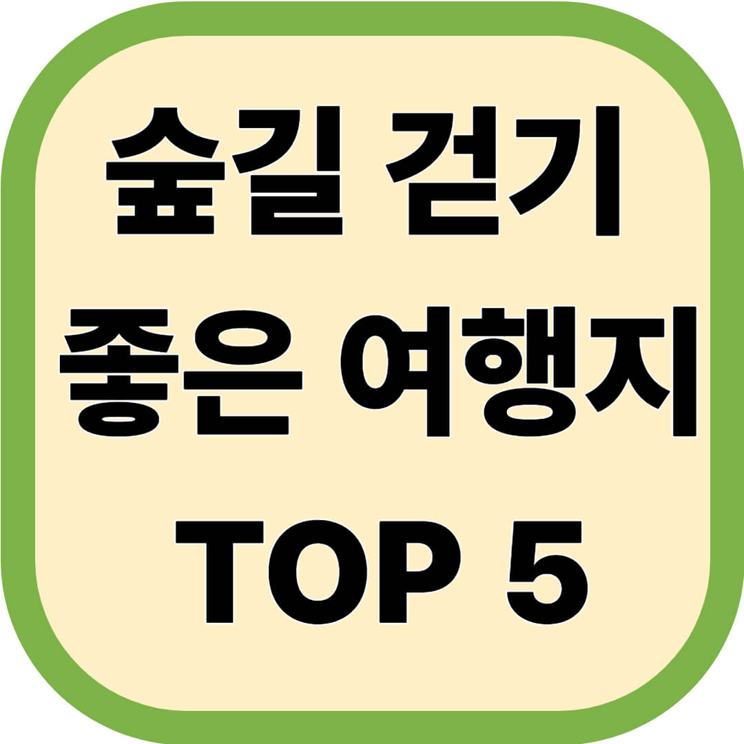 숲길 걷기 좋은 여행지 TOP 5 추천