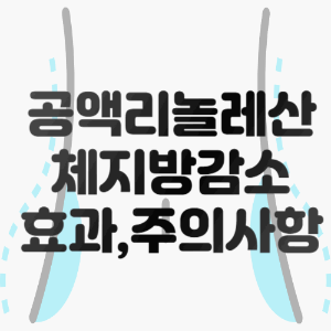 공액리놀레산 체지방 감소 도움 기능성 효과와 부작용