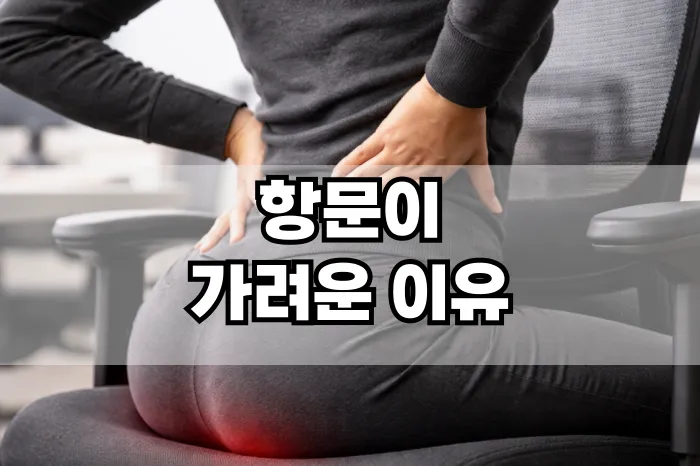 항문이 가려운 이유