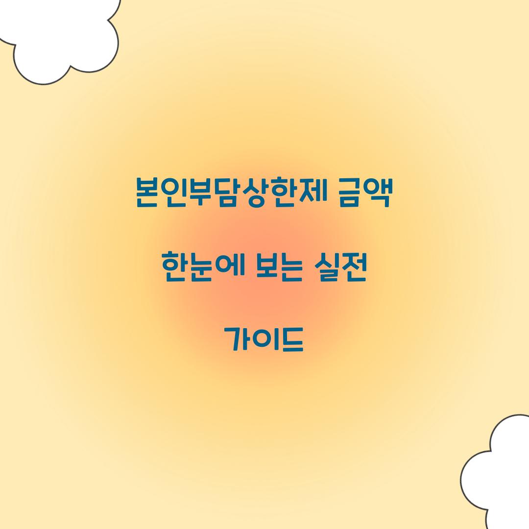 본인부담상한제 금액