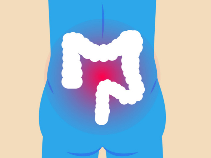 소화기관-대장-일러스트