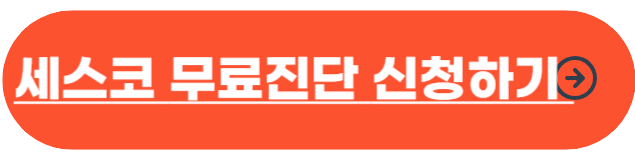 빈대 퇴치법
