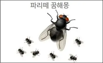 파리떼 꿈해몽