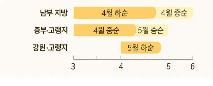 초당옥수수 심는 시기와 재배방법, 당도 높은 옥수수 수확을 위한 핵심 가이드