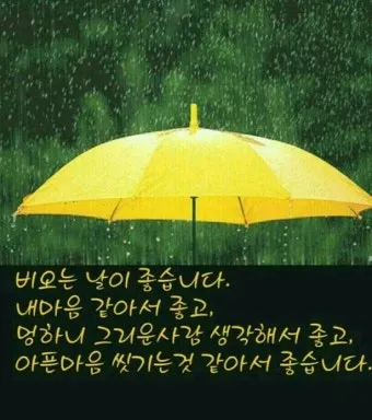 비오는 날 인사말 문구 이미지 사진 정리_15