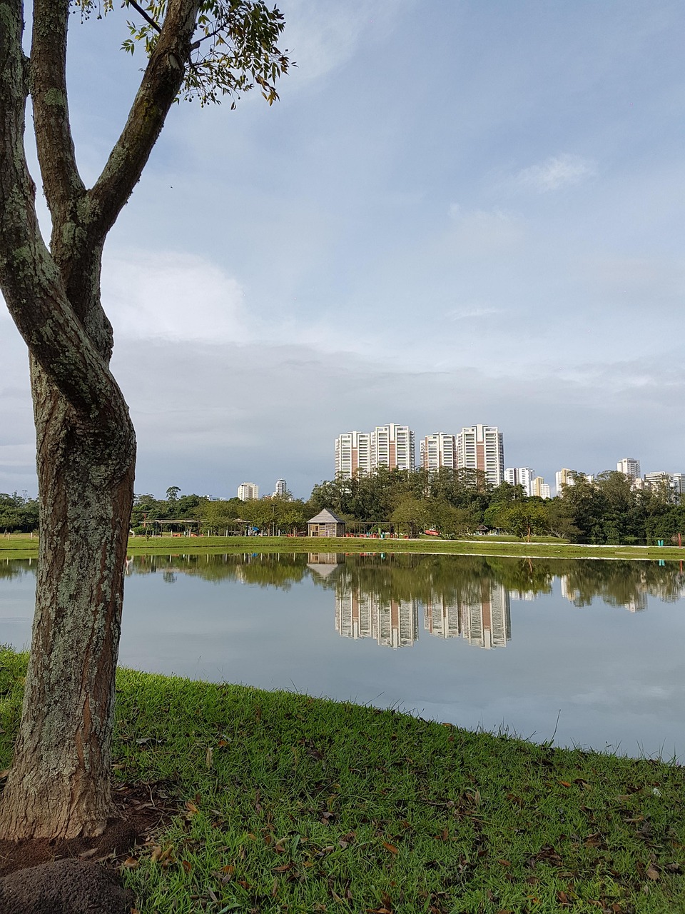 일요일 공원의 모습과 연관된 이미지