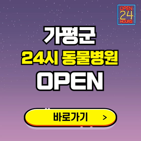 가평군 24시 동물병원 진료하는 곳 ❘ 설날 휴일 야간 심야 문여는곳 찾기 ❘ 응급진료