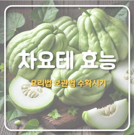 차요테 효능