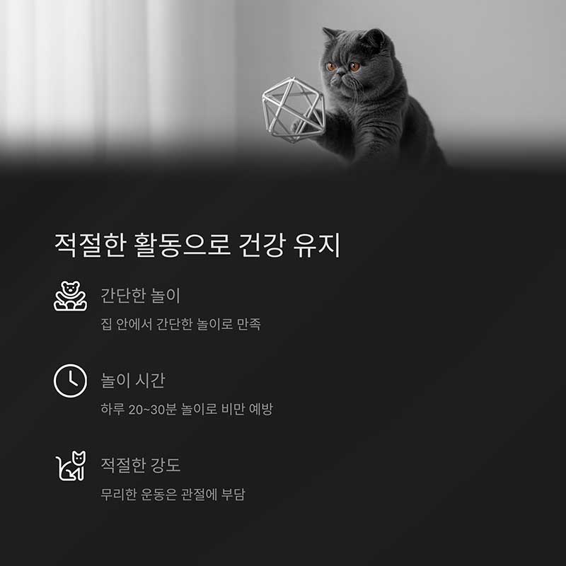 활동성 및 놀이 습관