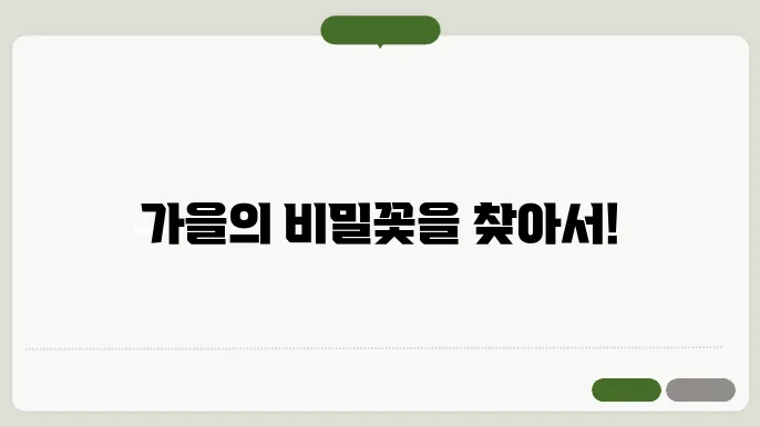 10월에 피는 꽃