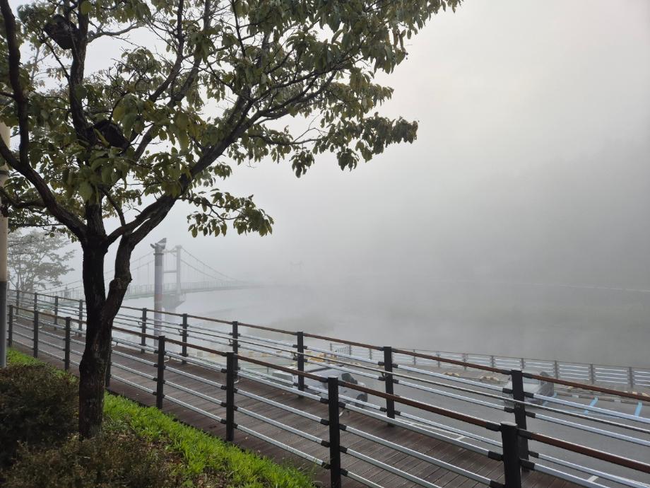 대전 당일치기 힐링 여행