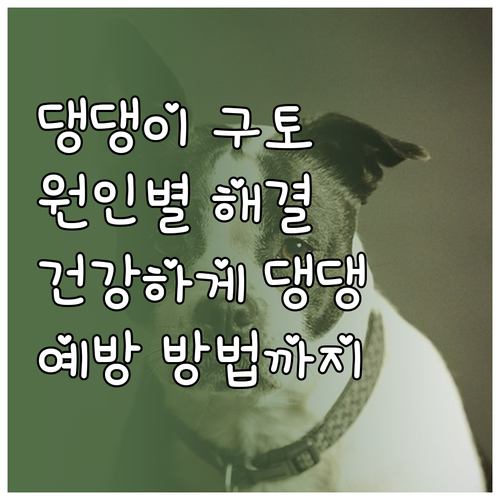 강아지 구토, 원인별 해결책과 예방 ..