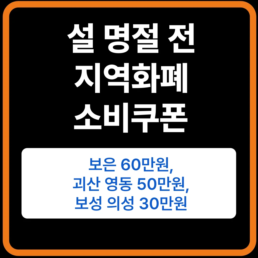 설 명절 전 지역화폐 지급!전국 지자체 현황 완벽 정리