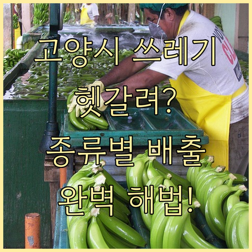 헷갈리는 고양시 쓰레기? 종류별 배출..