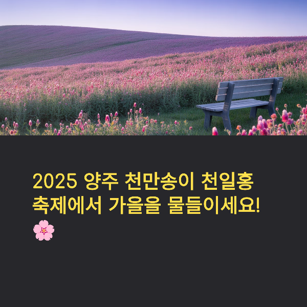 양주 천만송이 천일홍 축제 일정, 포토존, 방문 꿀팁 완전 정리