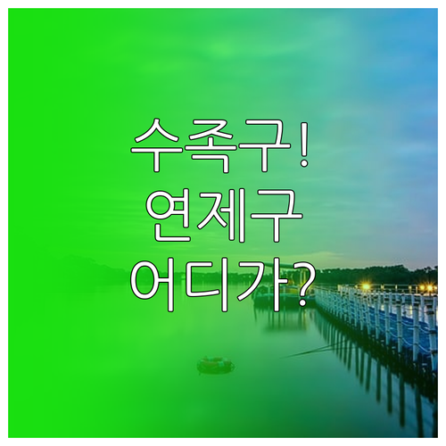 아이 수족구 증상과 연제구 소아과 병..