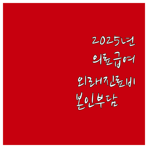 2025년 의료급여 외래 진료비 지원..