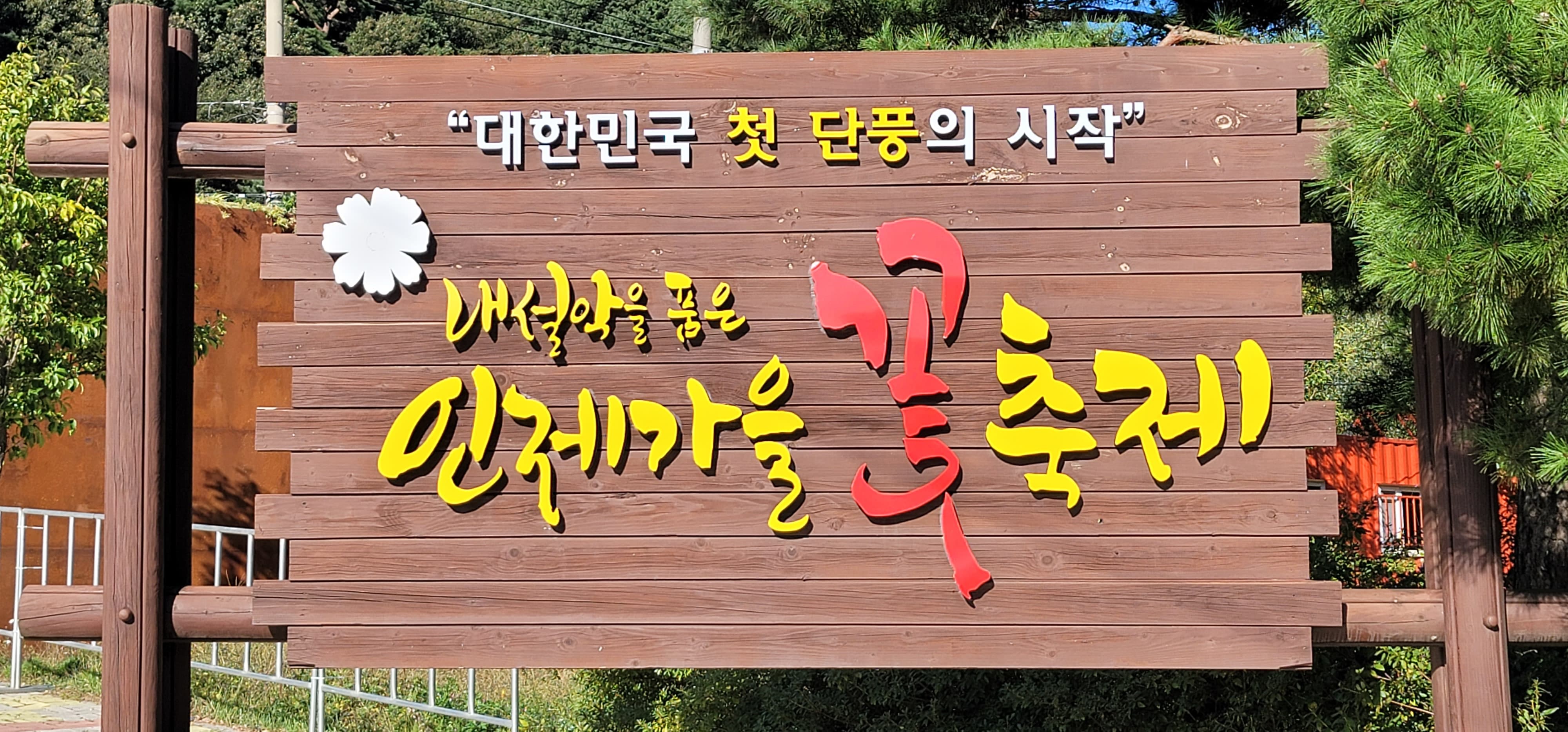 인제가을꽃축제