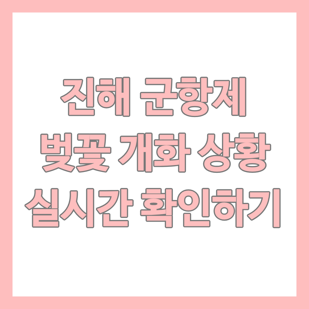 진해 군항제 벚꽃 개화 상황 정보 글의 썸네일