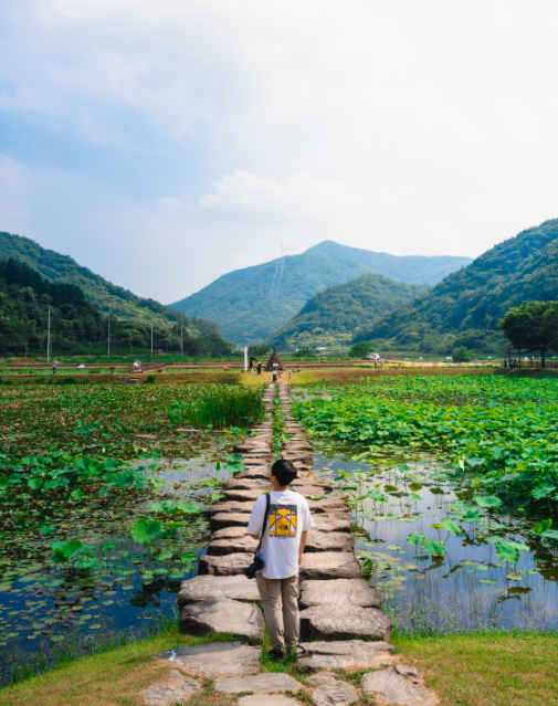 경남 고성 상리연꽃공원, 초여름 연꽃 세상이 열리는 곳