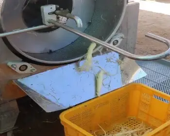 풍기 인삼축제_23