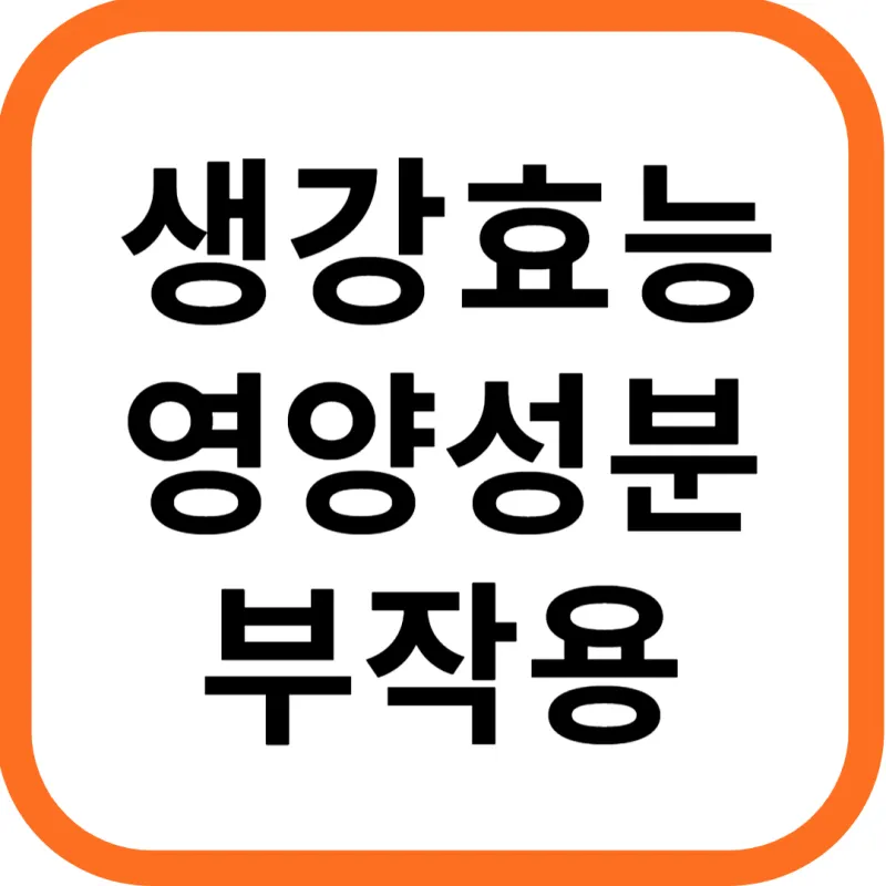 생강 효능 및 영양성분&#44; 부작용과 주의점