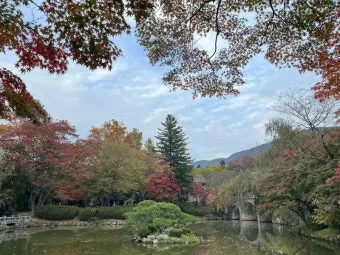 가을 경주 여행 가볼만한곳 베스트 10으로 정리_19