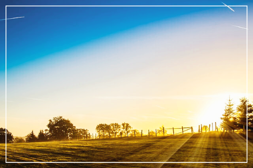 아침 햇살의 감정색을 추상화로 표현하기