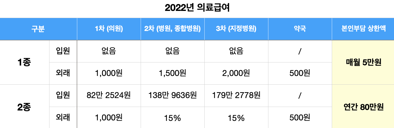 2022년 의료급여
