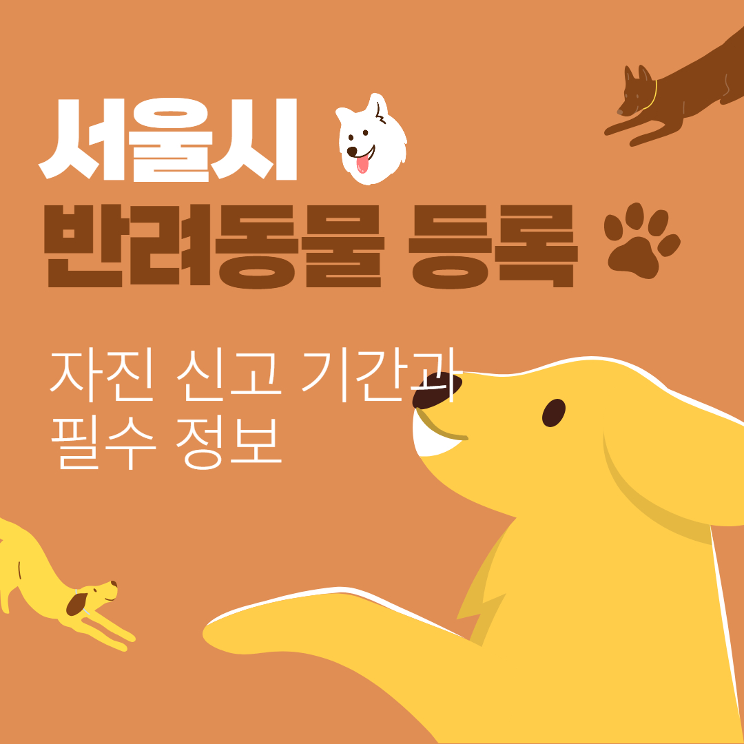 서울시 반려동물 등록 ❘ 자진 신고 기간과 필수 정보