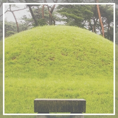 벌초-대행-썸네일