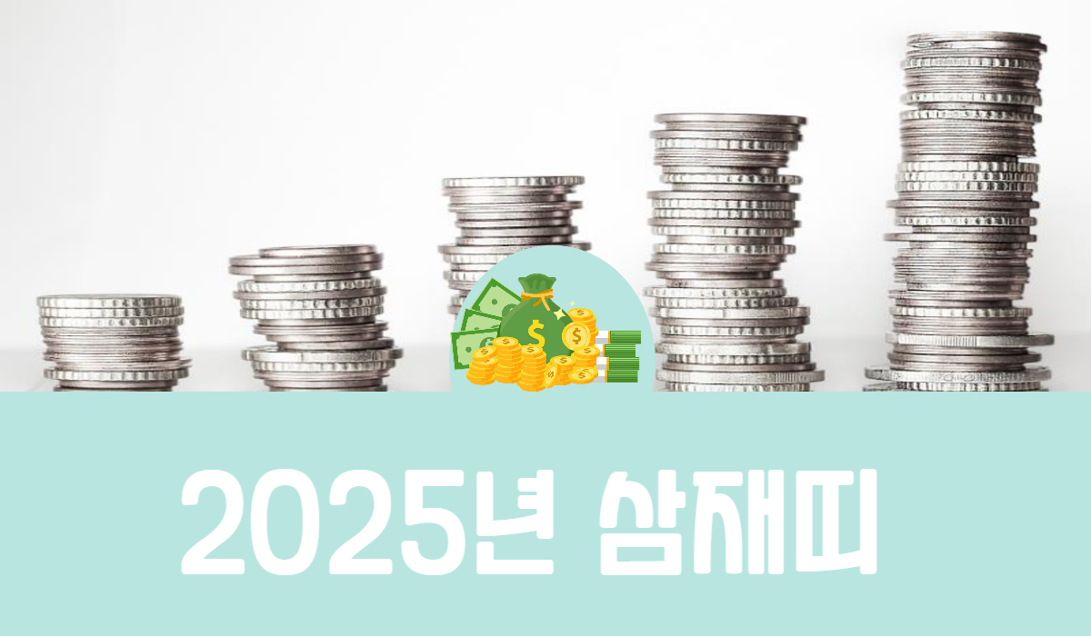 2025년 삼재띠