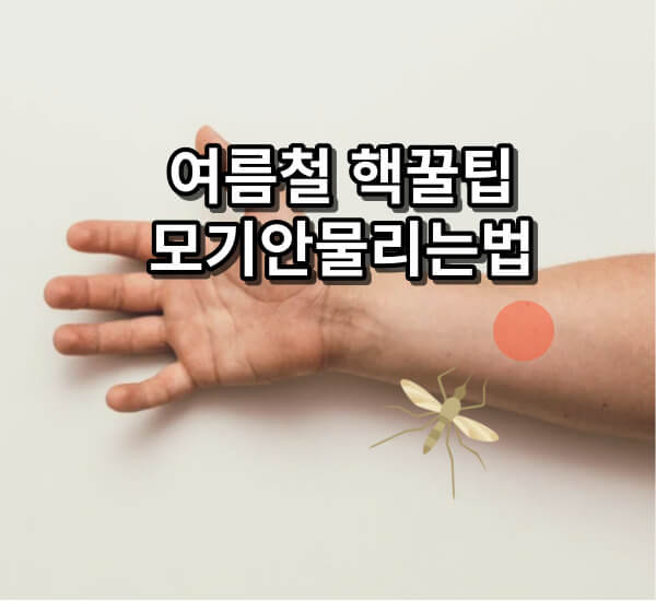 모기안물리는법 핵꿀팁