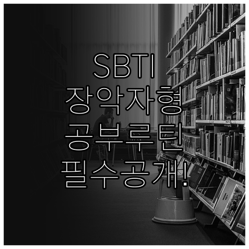 SBTI 장악자 유형 맞춤형 공부 루..