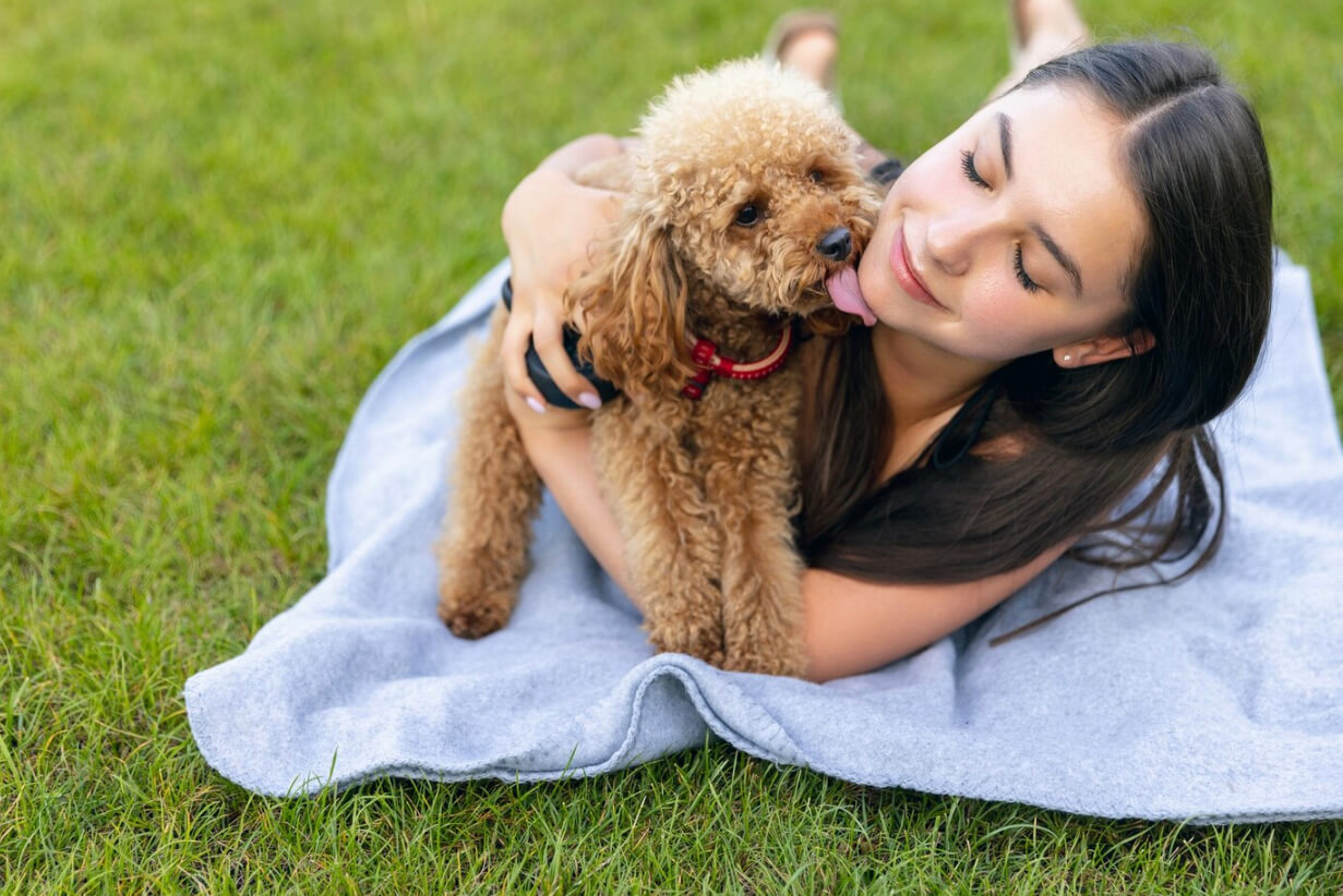 반려견능력시험 우수자 혜택