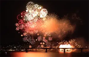 여의도불꽃축제 불꽃 장면 5