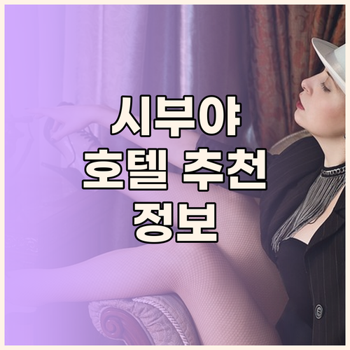 시부야에서 편안한 밤을 위한 추천 호