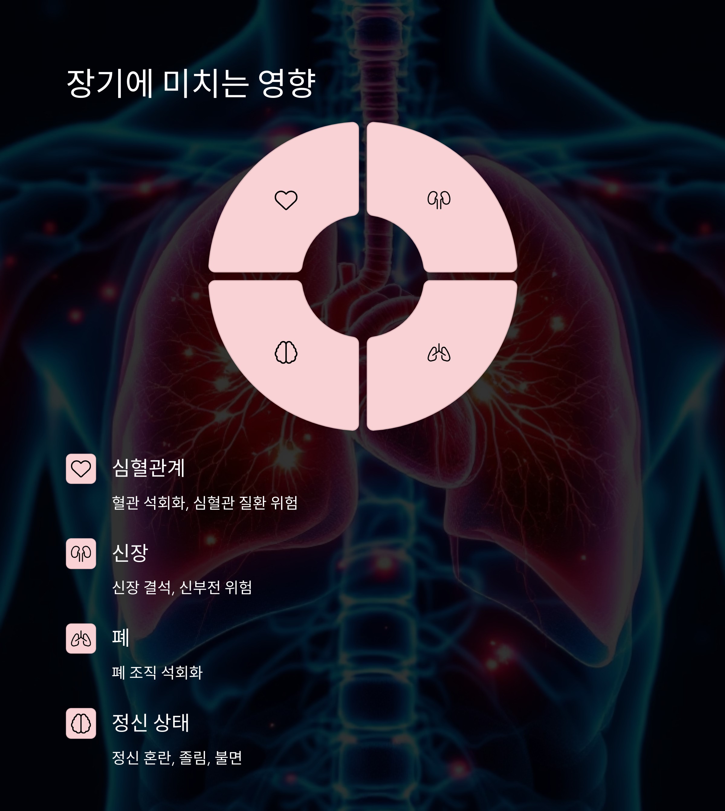비타민 D 과다복용이 장기에 미치는 영향 인포그라픽