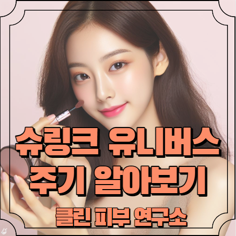 슈링크 유니버스 주기 알아보기