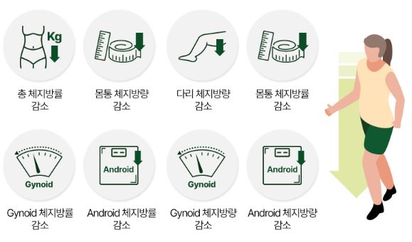 이소비텍신-다이어트-효과