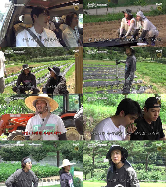 &#39;콩 심은 데 콩 나고 팥 심은 데 팥 난다&#39;에 임주환과 정수교가 뜬다. 잠시 자리를 비웠던 도경수는 다시 황금 막내 존재감을 뽐낼 예정이다. [사진=tvN]