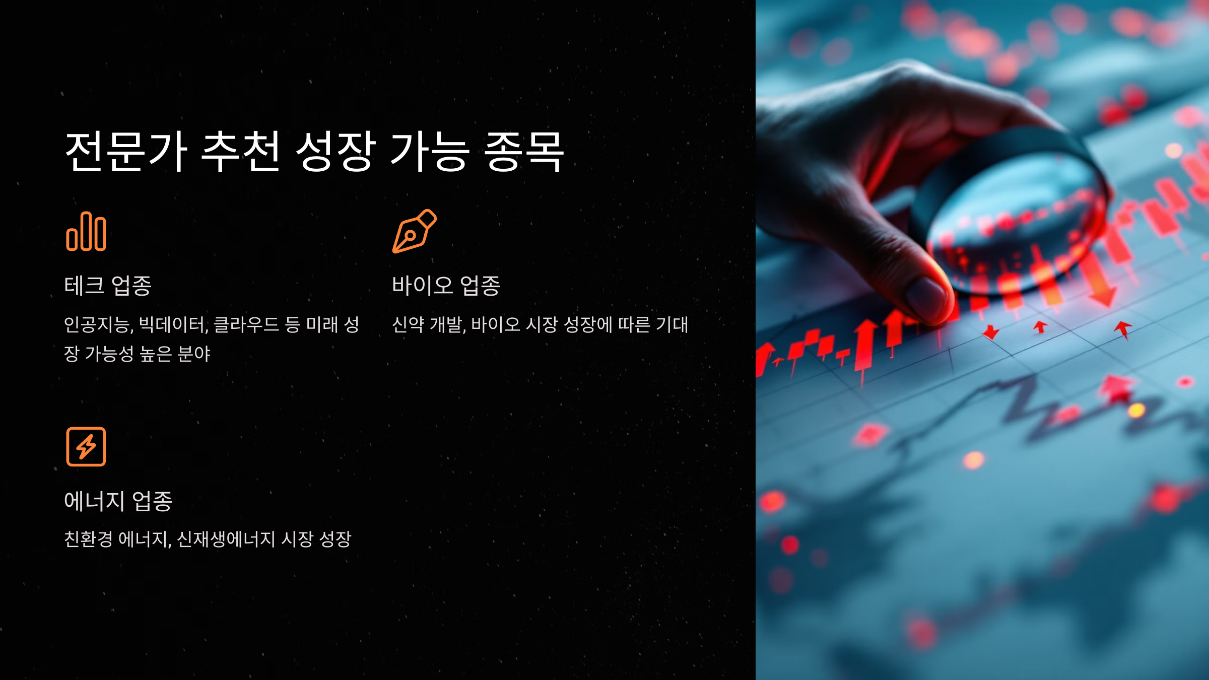 전문가 추천 성장 가능 종목